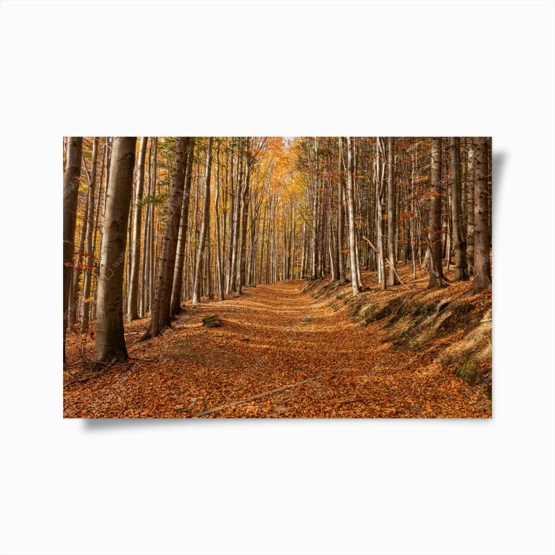 Natur – Wallnifity®