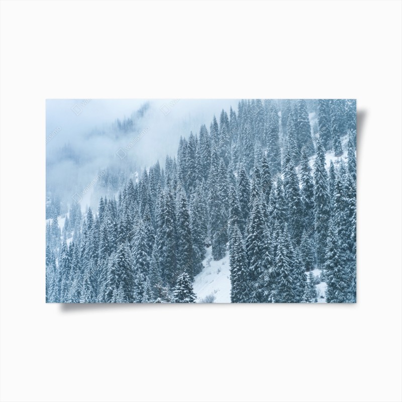 Wälder – Wallnifity®