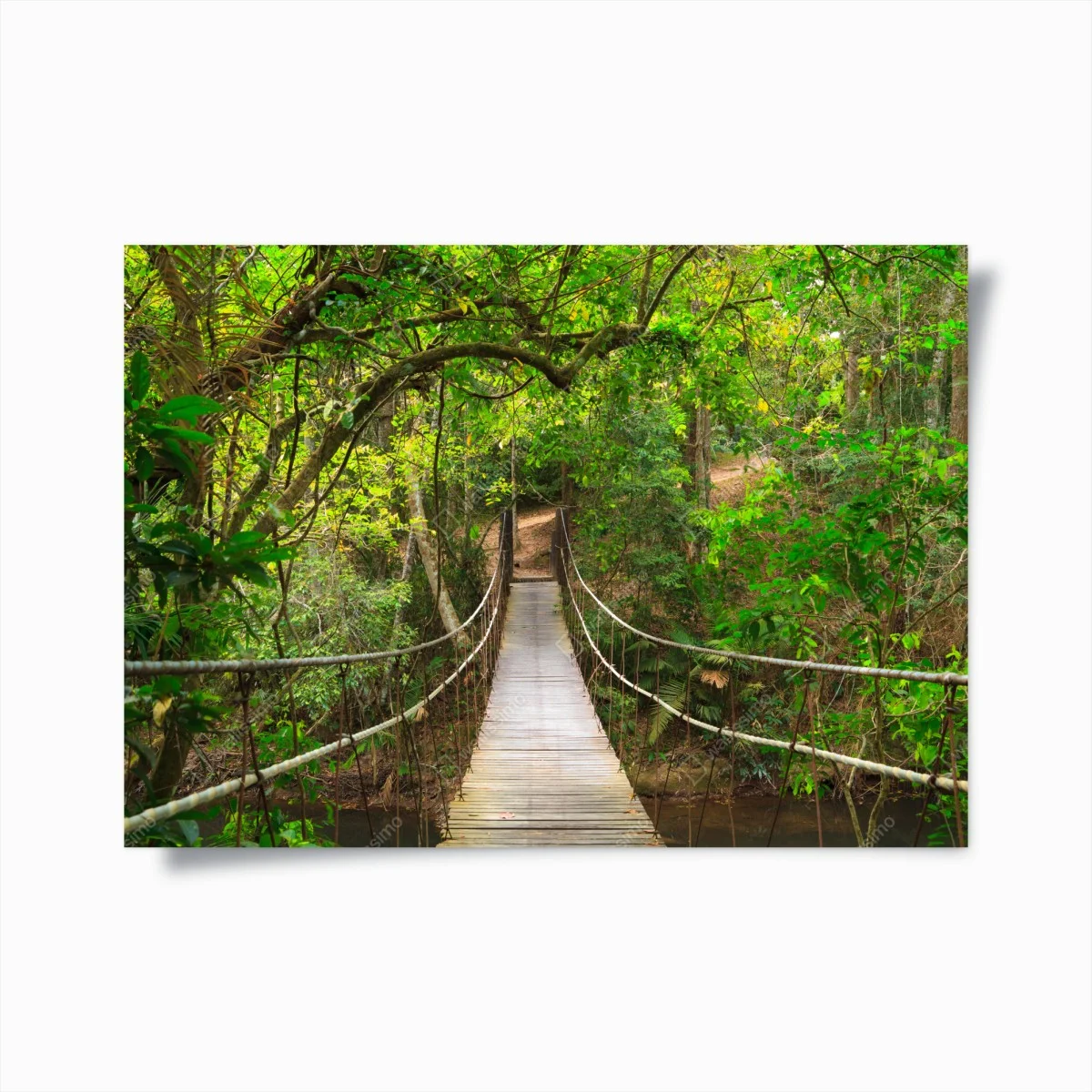 Poster hängende holzbrücke im grünen wald – Wallnifity® Poster hängende holzbrücke im grünen wald – Wallnifity®