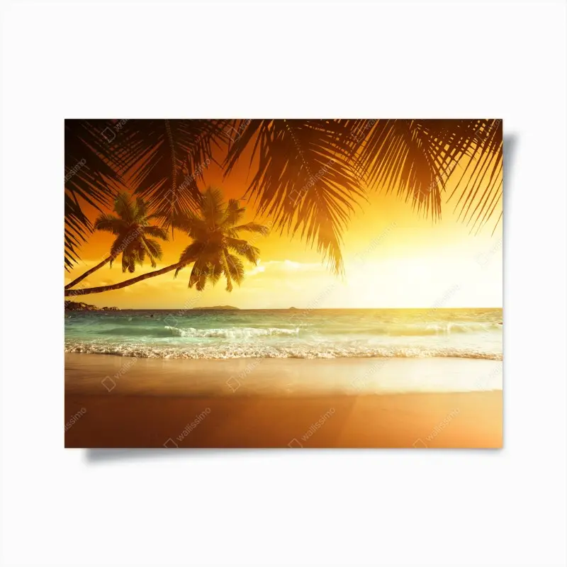 Poster goldener sonnenuntergang an einem strand in der Karibik