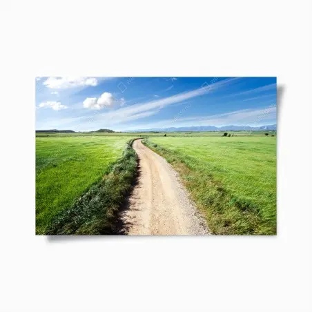 Poster gewundener landweg durch grüne wiesen – Wallnifity®