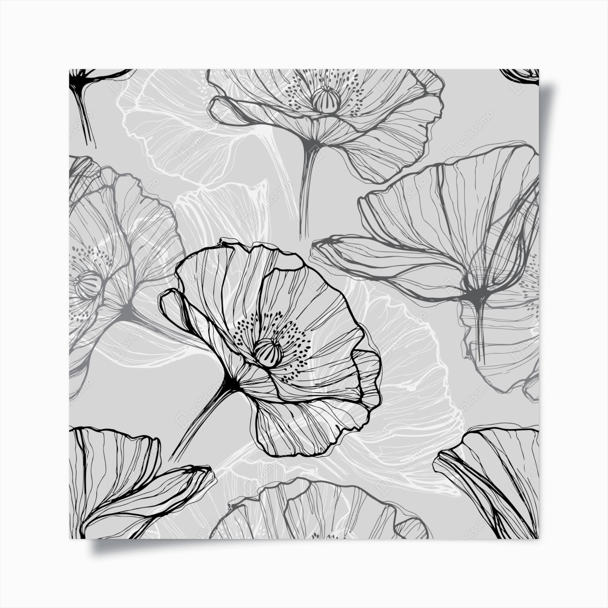 Poster zarter grauer mohn in linienzeichnung – Wallnifity®