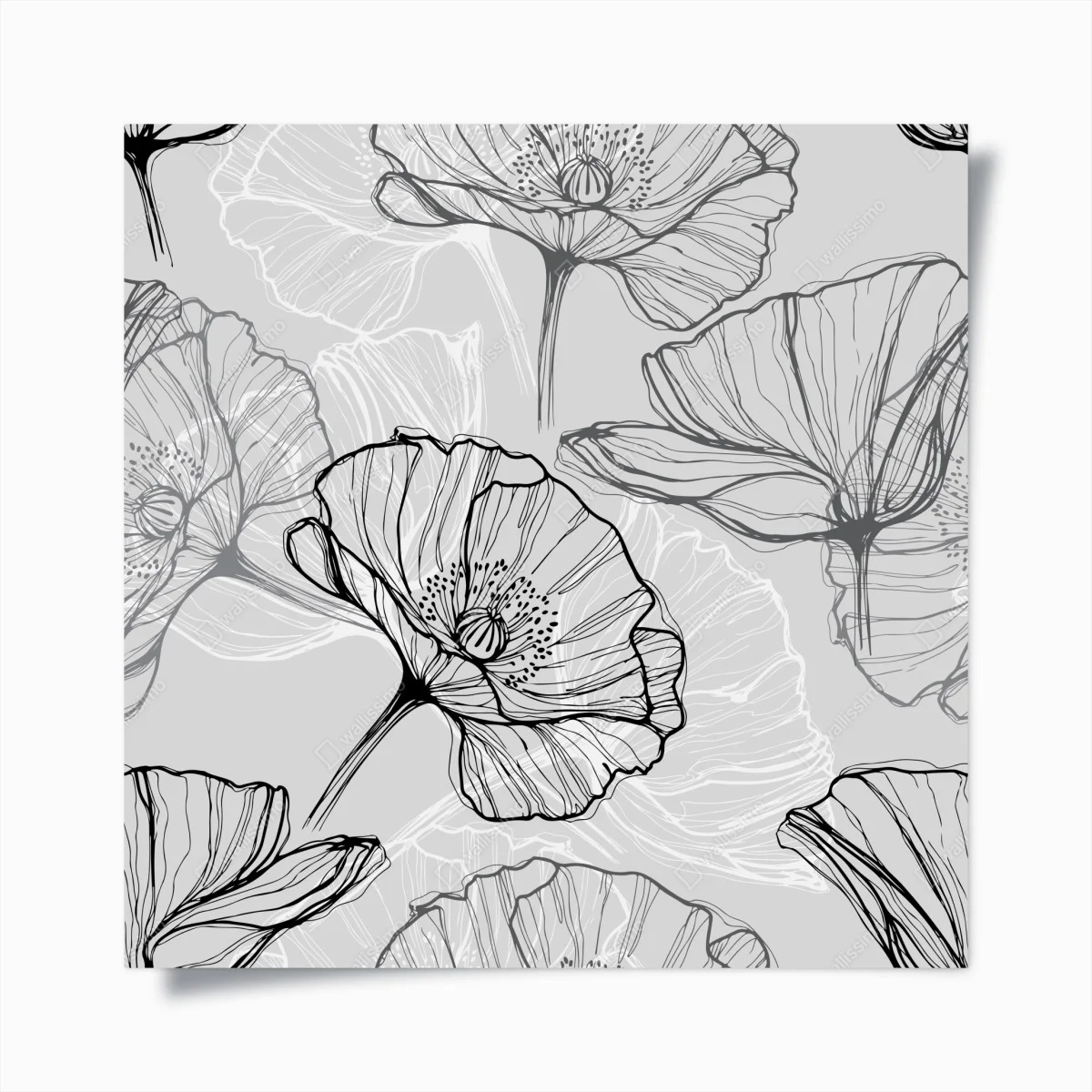 Poster zarter grauer mohn in linienzeichnung – Wallnifity® Poster zarter grauer mohn in linienzeichnung – Wallnifity®