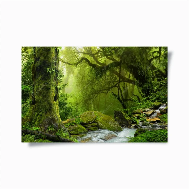 Poster verzauberter grüner waldbach