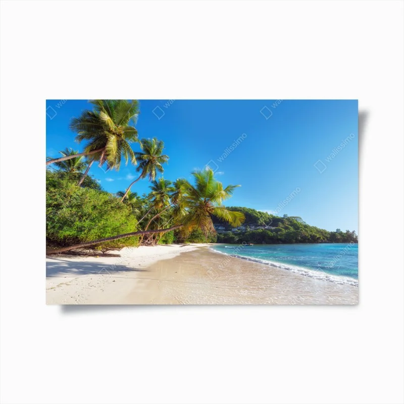Natur – Wallnifity®