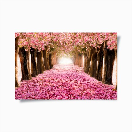 Poster rosa blütenallee unter kirschbäumen – Wallnifity®