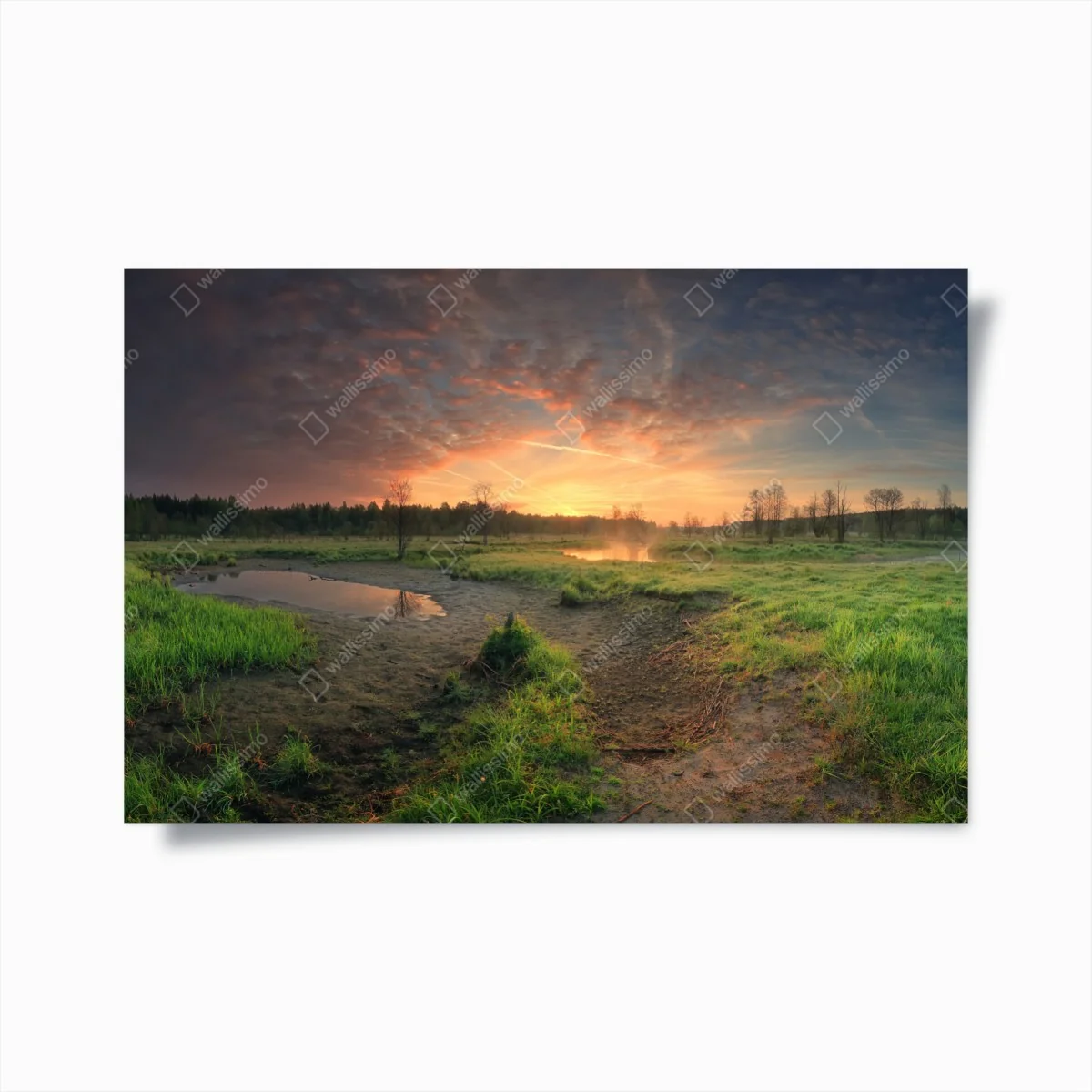 Poster sonnenuntergang über einer ruhigen wiese – Wallnifity® Poster sonnenuntergang über einer ruhigen wiese – Wallnifity®