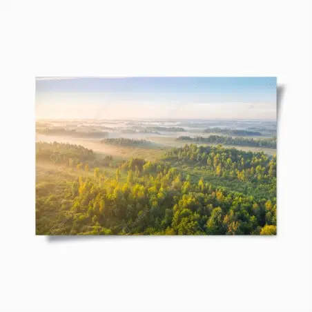 Poster nebliger morgen im sumpf von Zvanets – Wallnifity®