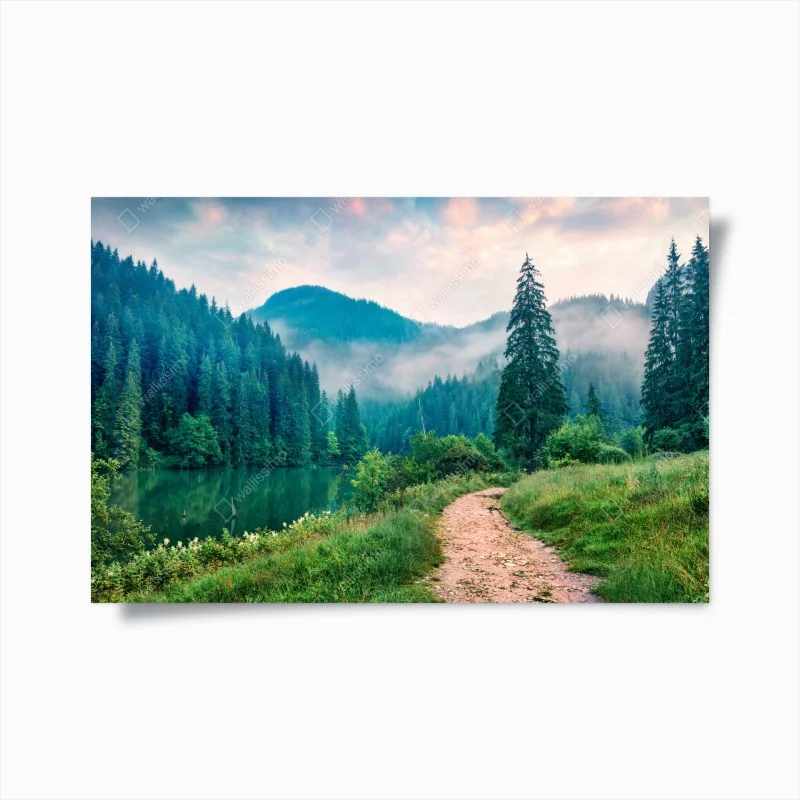 Natur – Wallnifity®