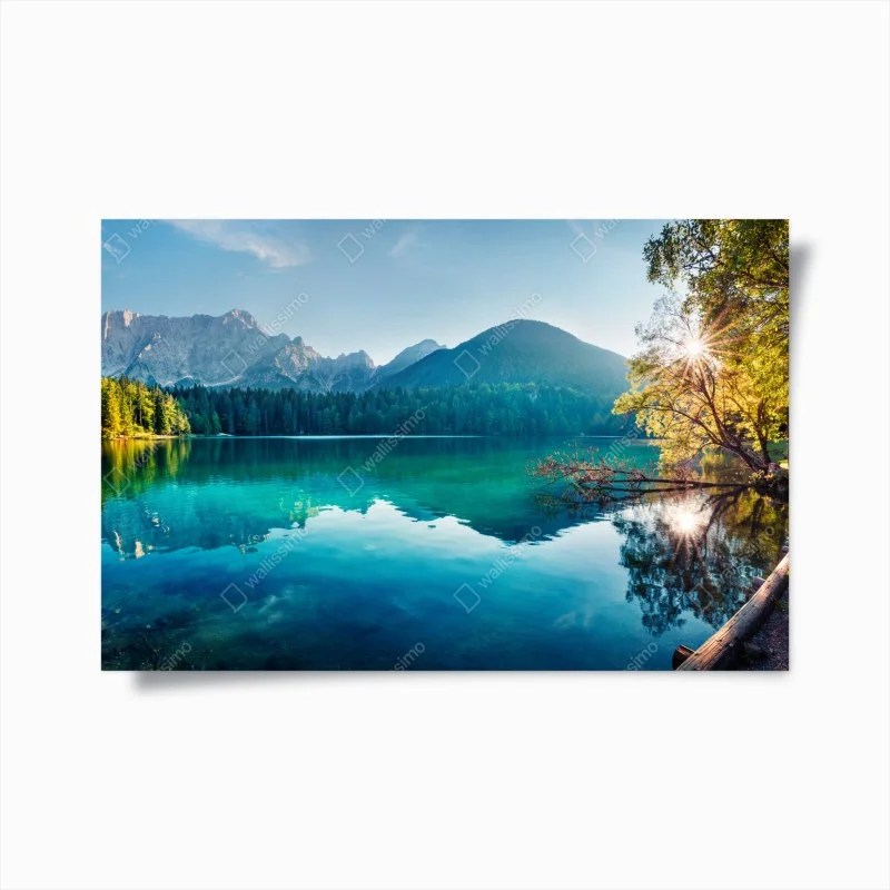 Natur – Wallnifity®