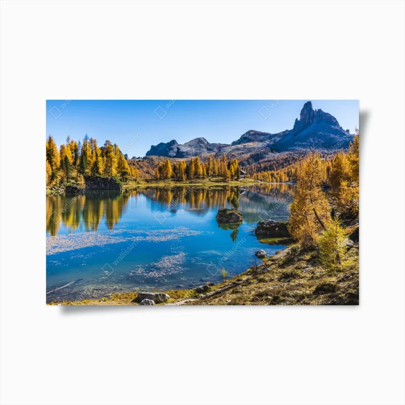 Natur – Wallnifity®