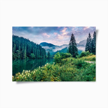 Poster nebliger sonnenaufgang über Lacu Rosu – Wallnifity®