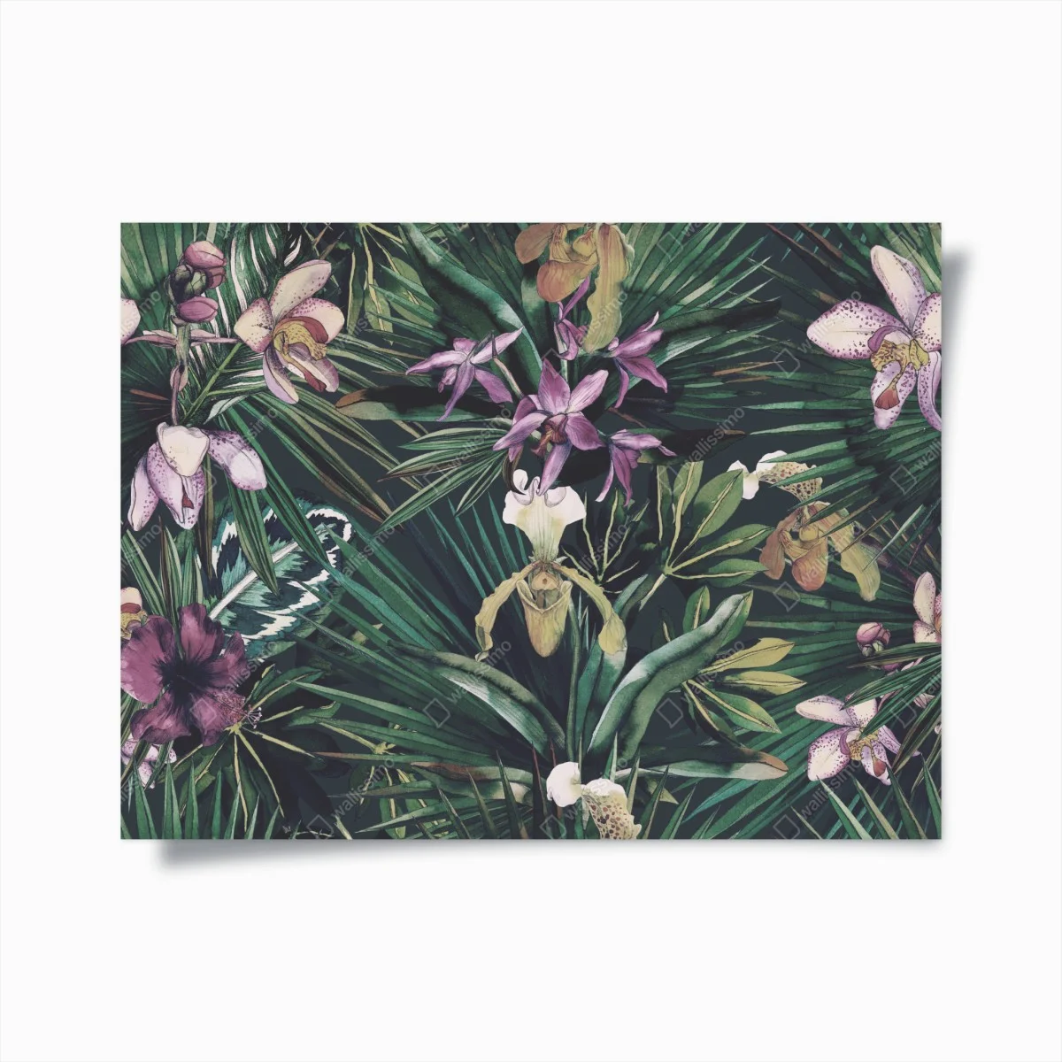 Poster tropische orchideen in aquarell und palmblättern – Wallnifity® Poster tropische orchideen in aquarell und palmblättern – Wallnifity®