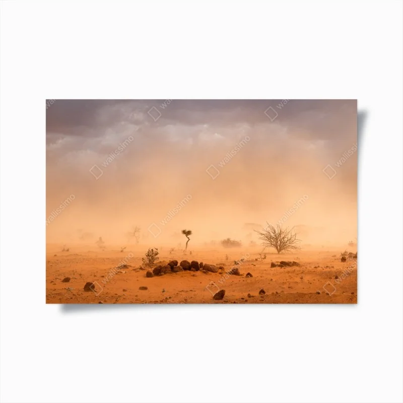 Minimalistisch – Wallnifity®