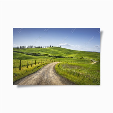 Poster ländliche straße in der Toskana durch grüne hügel – Wallnifity®