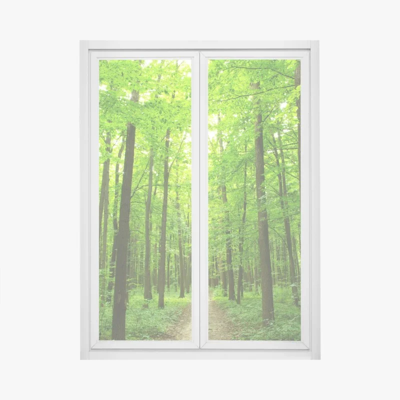 Wälder – Wallnifity®