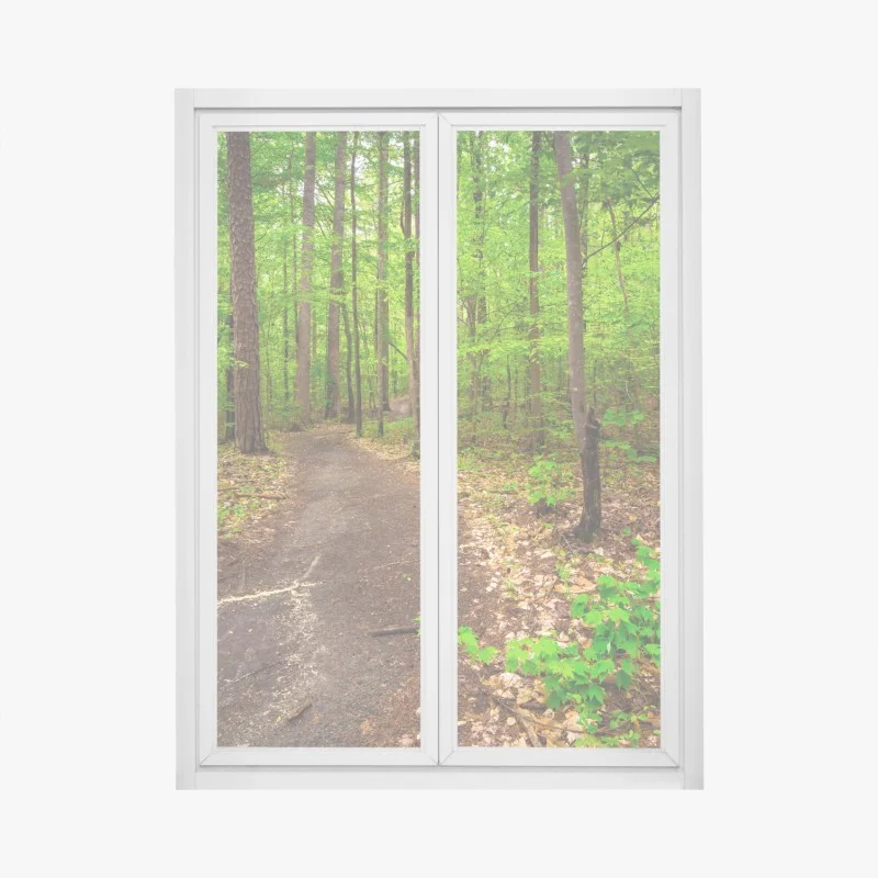 Wälder – Wallnifity®