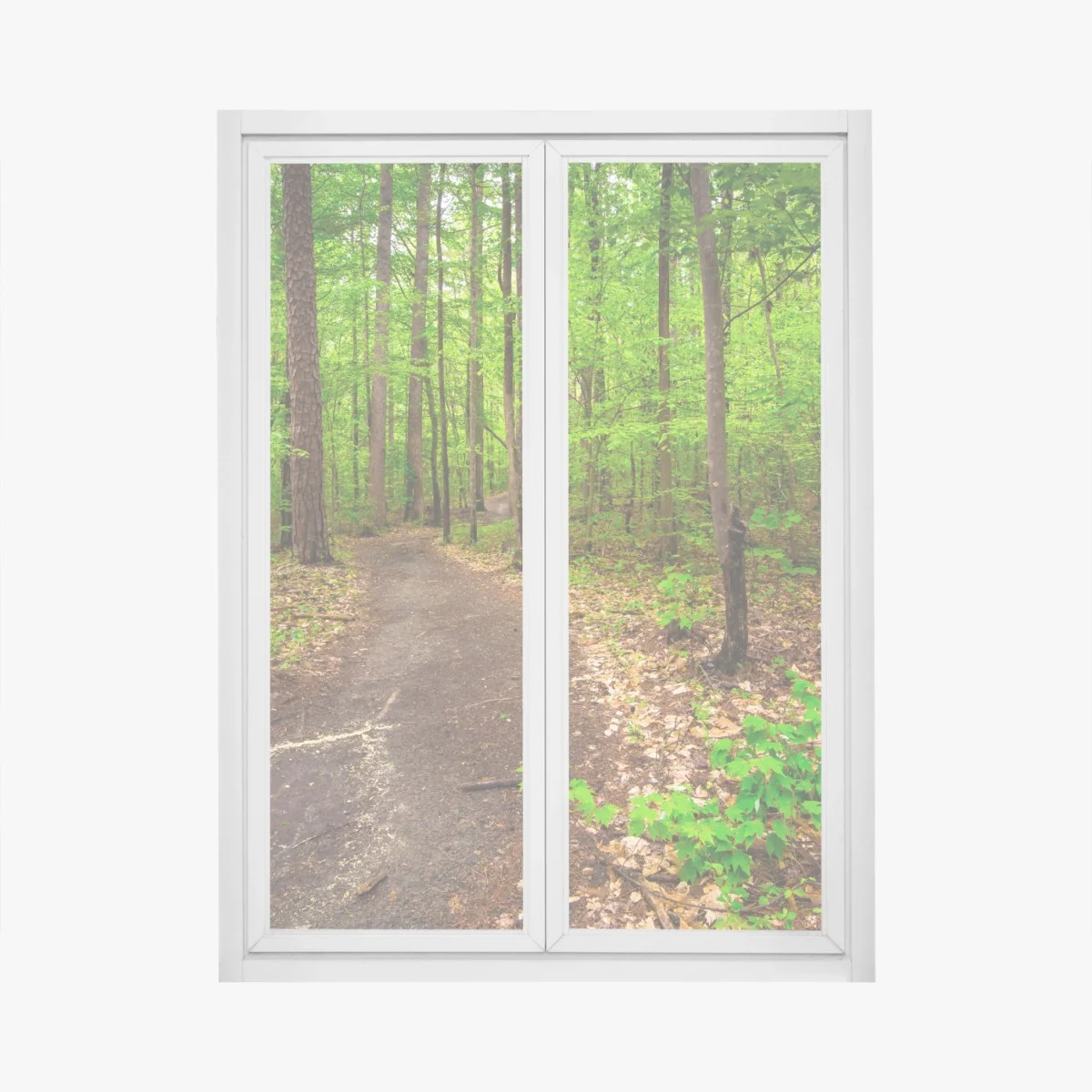 Fensteraufkleber ruhiger grüner waldpfad – Wallnifity® Fensteraufkleber ruhiger grüner waldpfad – Wallnifity®