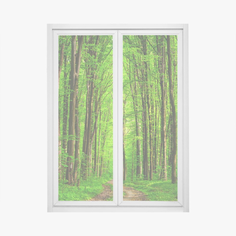 Natur – Wallnifity®