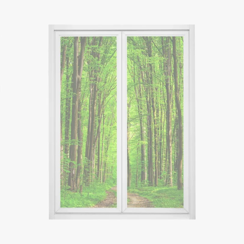 Fensteraufkleber üppiger grüner waldweg