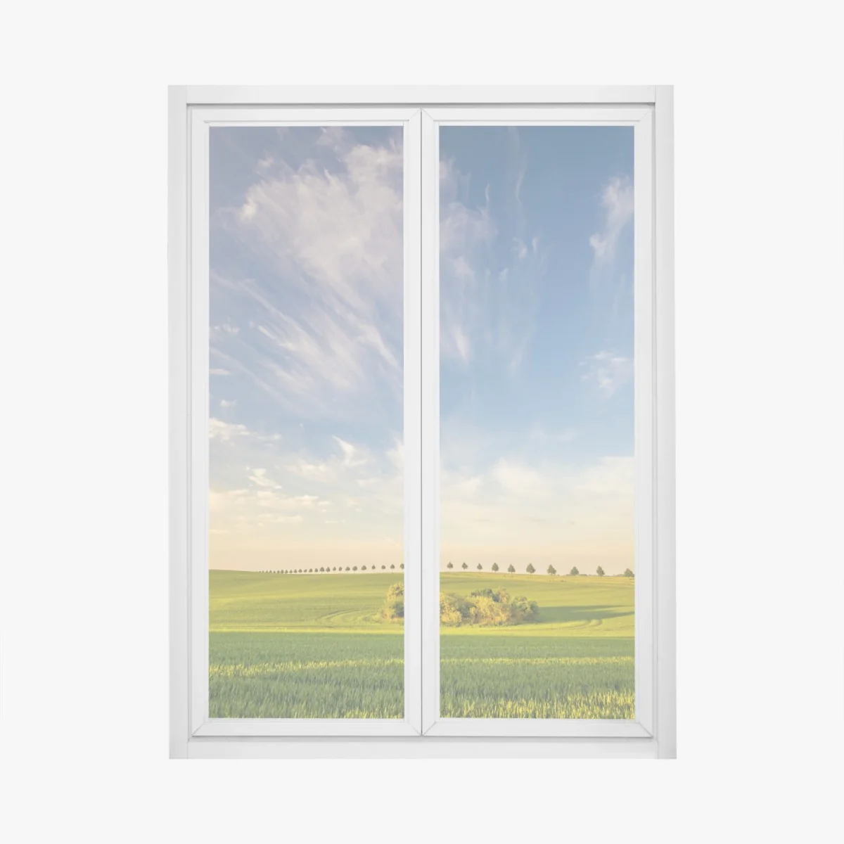 Fensteraufkleber grüne wiese mit einer reihe junger bäume – Wallnifity® Fensteraufkleber grüne wiese mit einer reihe junger bäume – Wallnifity®