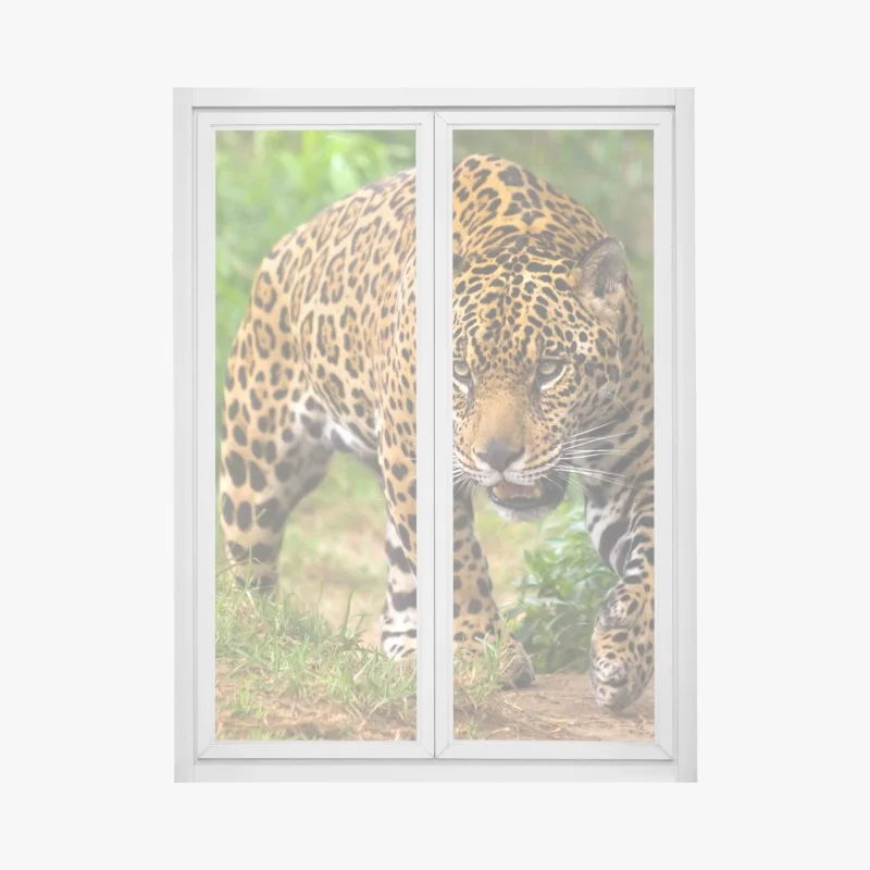 Wildtiere – Wallnifity®