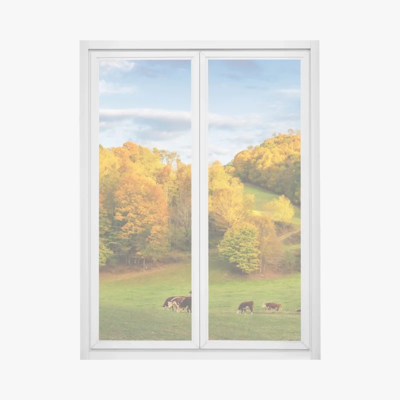 Wiesen – Wallnifity®