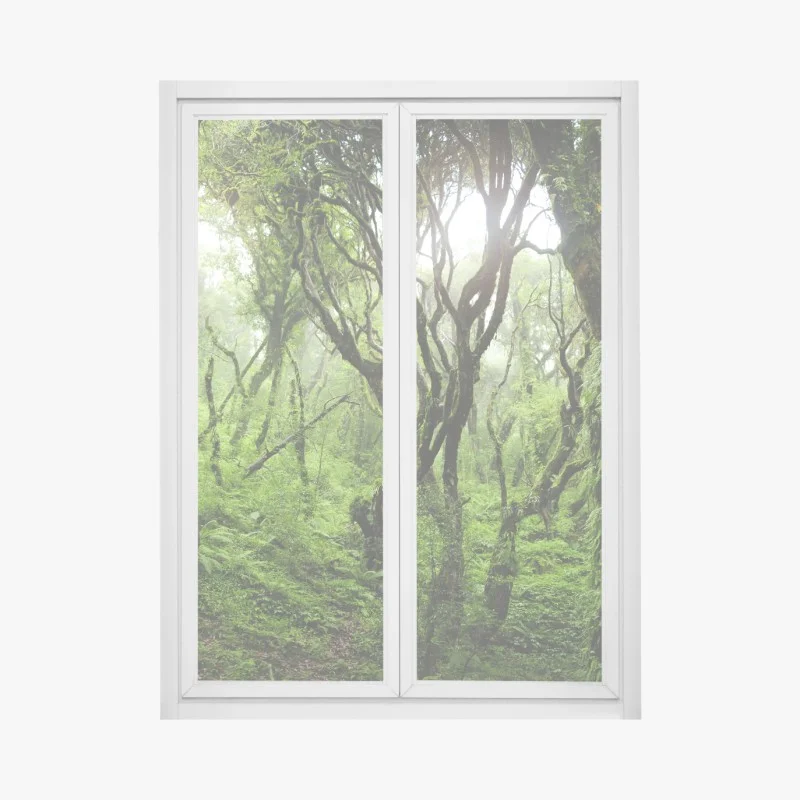 Wälder – Wallnifity®