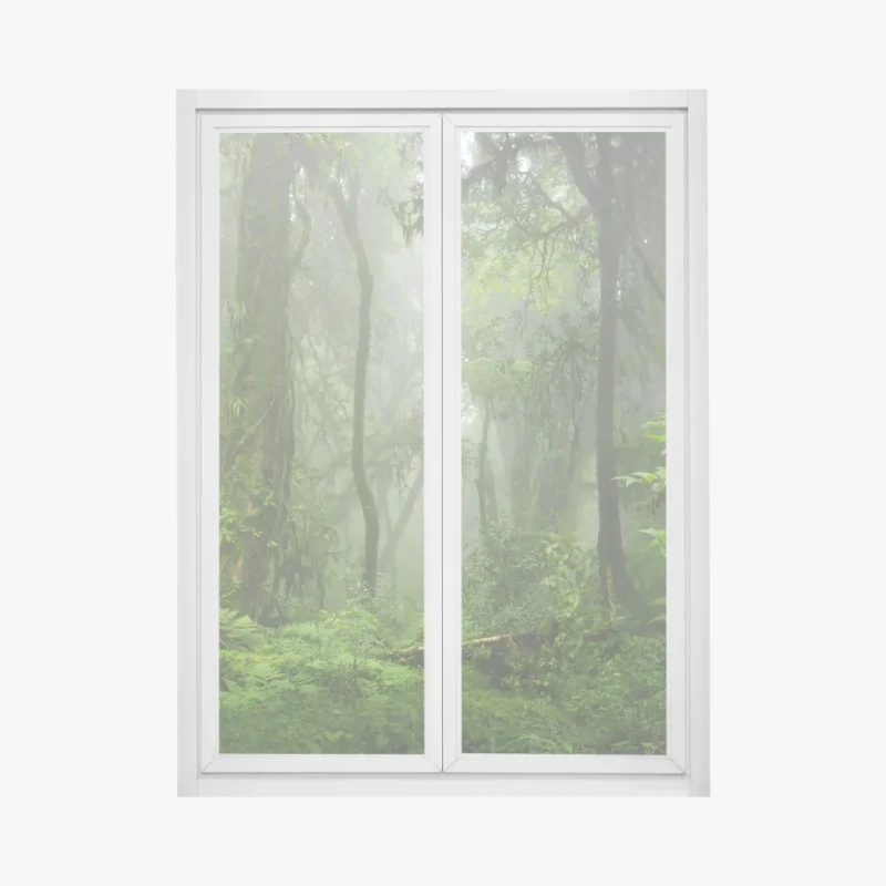 Dschungel – Wallnifity®