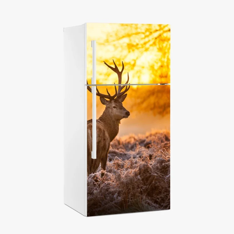 Biophil – Wallnifity®