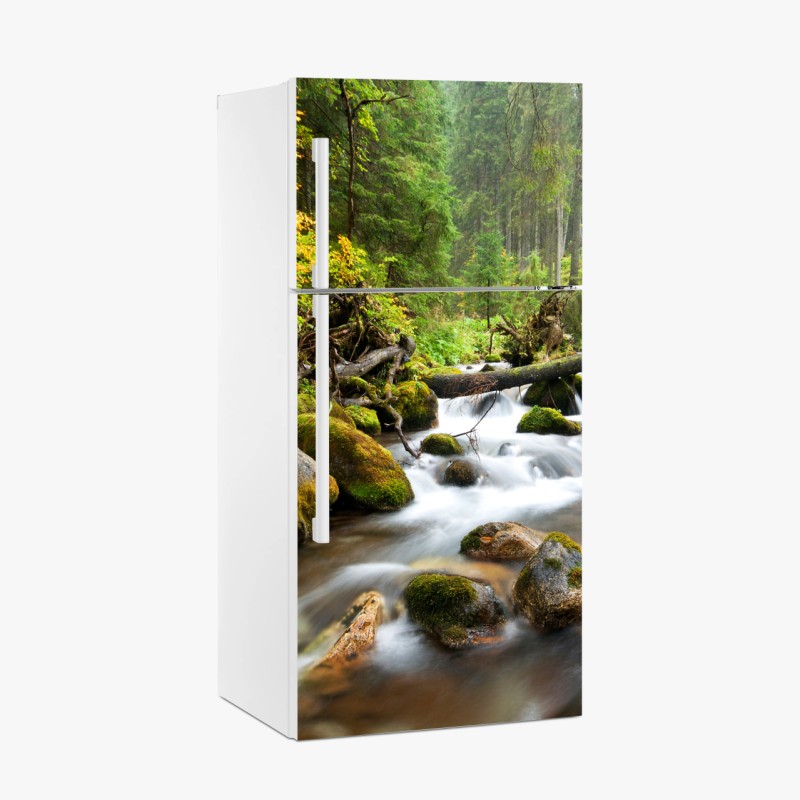 Biophil – Wallnifity®