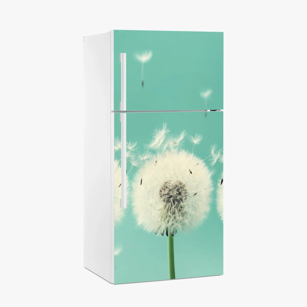 Kühlschrankaufkleber drei löwenzahn-pusteblumen auf türkisgrund – Wallnifity® Kühlschrankaufkleber drei löwenzahn-pusteblumen auf türkisgrund – Wallnifity®