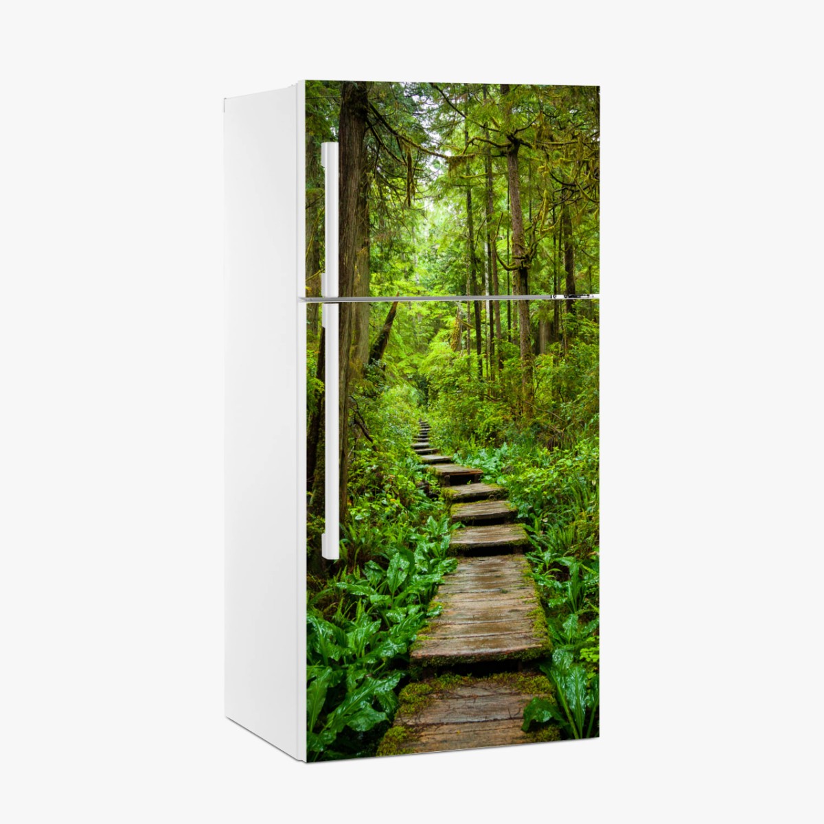Kühlschrankaufkleber ruhiger waldsteg – Wallnifity®