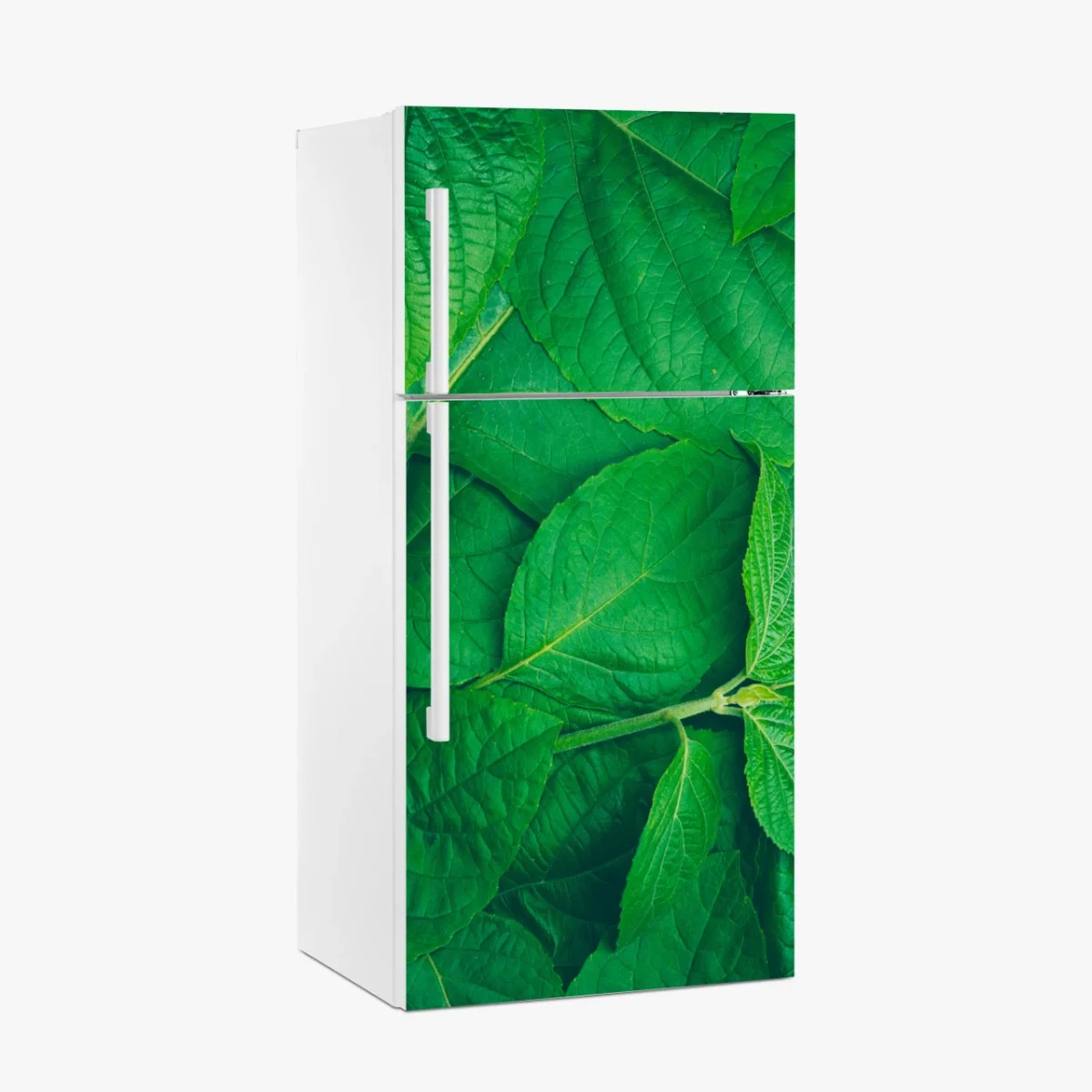 Kühlschrankaufkleber saftige grüne blätter – Wallnifity® Kühlschrankaufkleber saftige grüne blätter – Wallnifity®