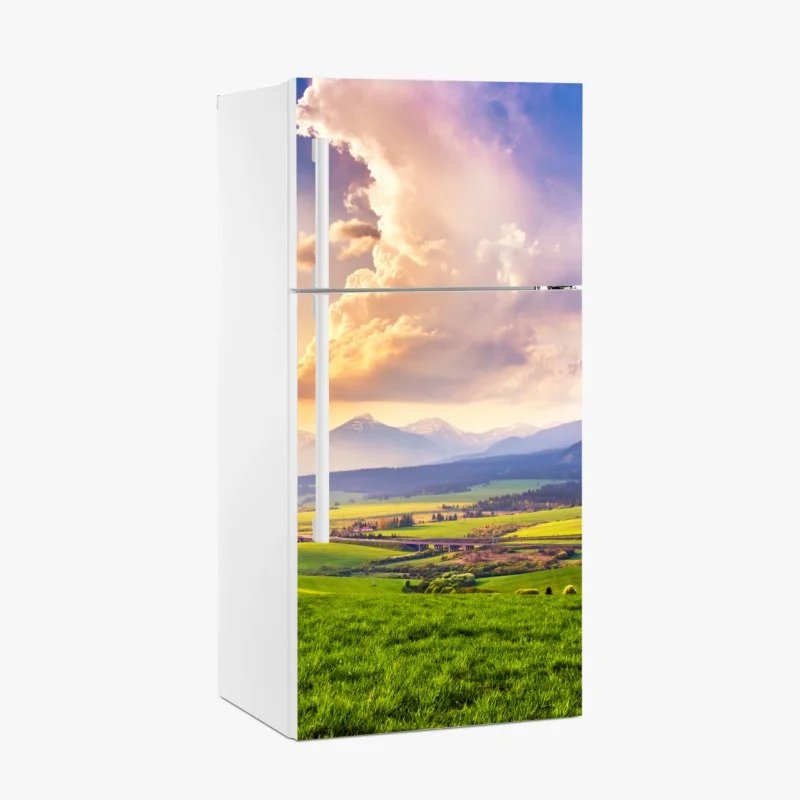 Biophil – Wallnifity®