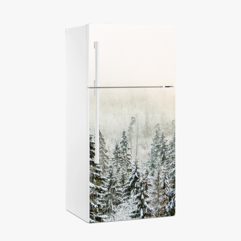 Skandinavisch – Wallnifity®