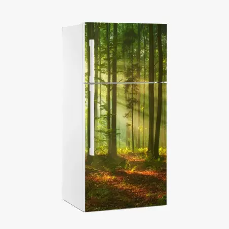 Kühlschrankaufkleber morgendliches licht im grünen wald – Wallnifity®