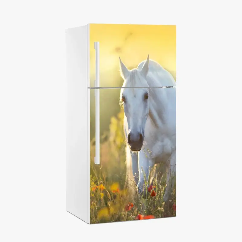 Pferde – Wallnifity®