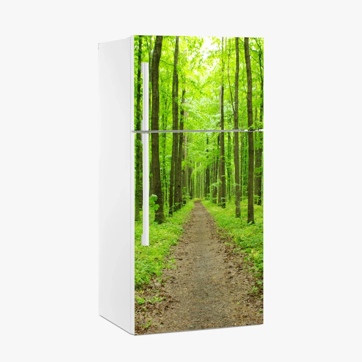 Kühlschrankaufkleber ruhiger grüner waldweg – Wallnifity® Kühlschrankaufkleber ruhiger grüner waldweg – Wallnifity®