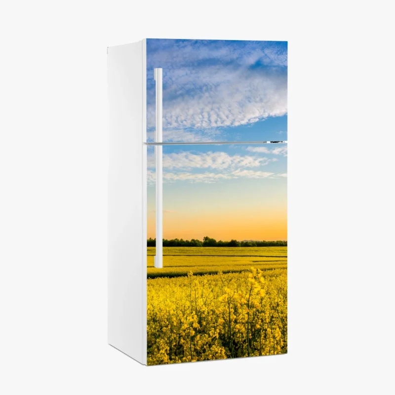 Wiesen – Wallnifity®