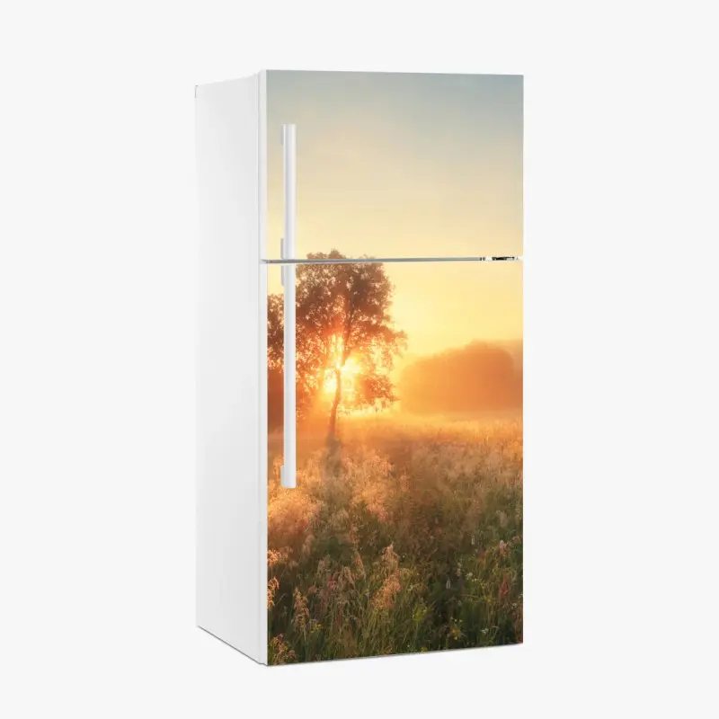 Wiesen – Wallnifity®