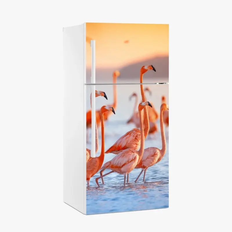 Vögel – Wallnifity®