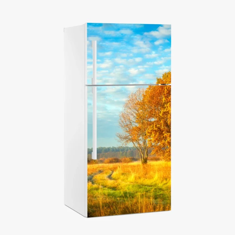 Wiesen – Wallnifity®