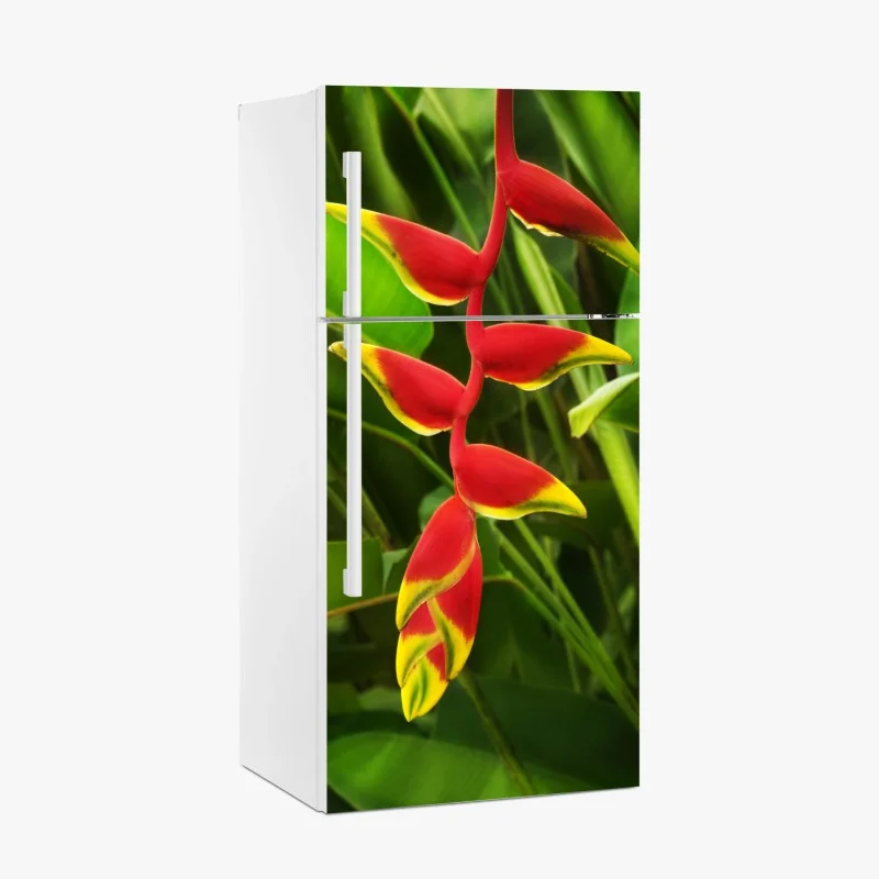 Orientalisch – Wallnifity®