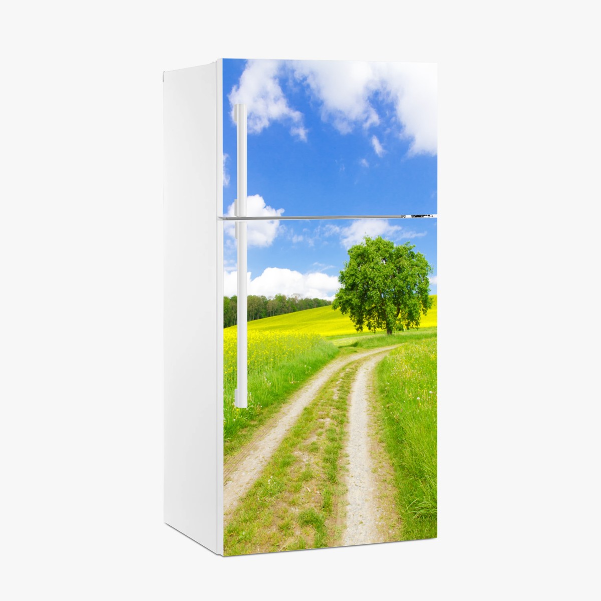 Kühlschrankaufkleber sonniger feldweg mit einsamem baum – Wallnifity®