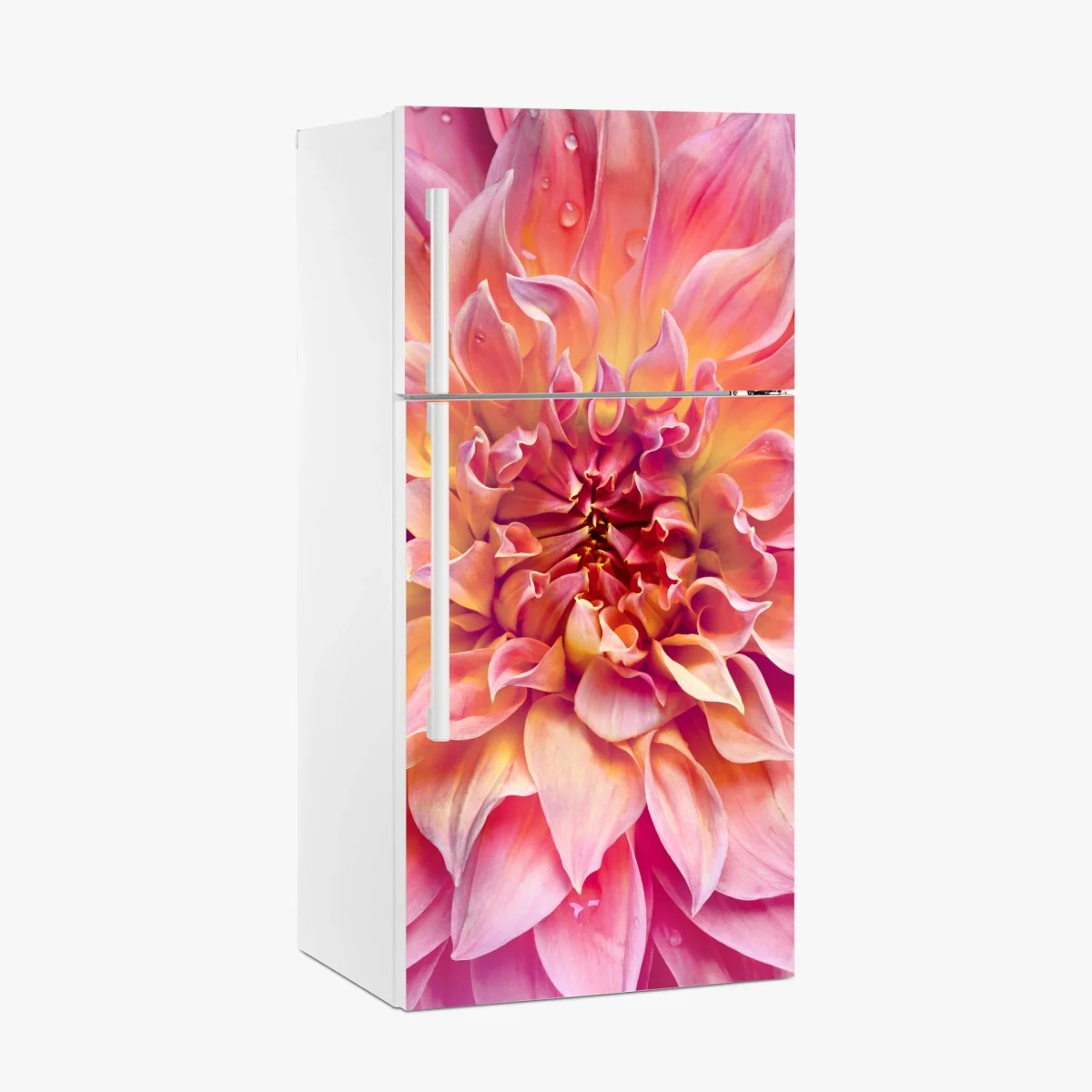 Kühlschrankaufkleber rosa dahlie nahaufnahme – Wallnifity® Kühlschrankaufkleber rosa dahlie nahaufnahme – Wallnifity®