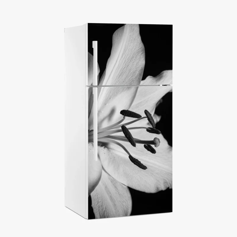 Minimalistisch – Wallnifity®