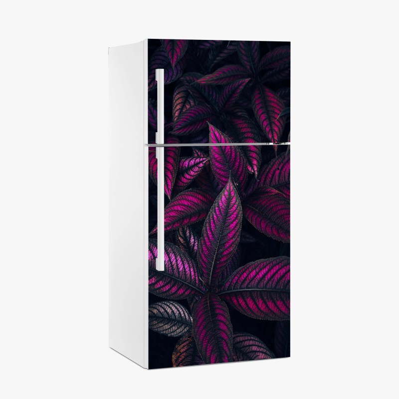 Blumen & Pflanzen – Wallnifity®