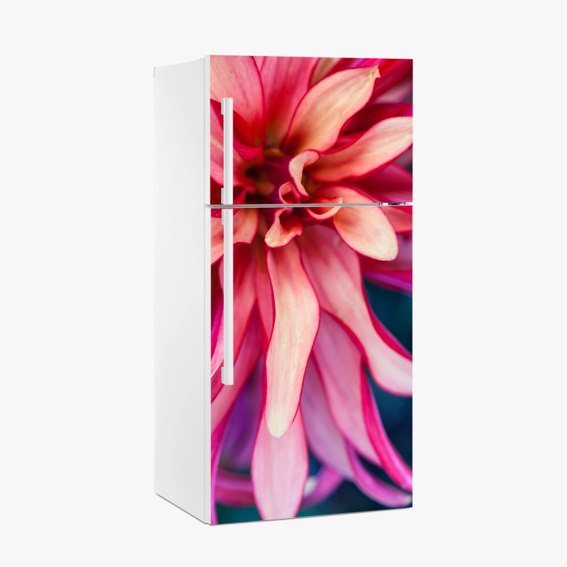 Blumen & Pflanzen – Wallnifity®