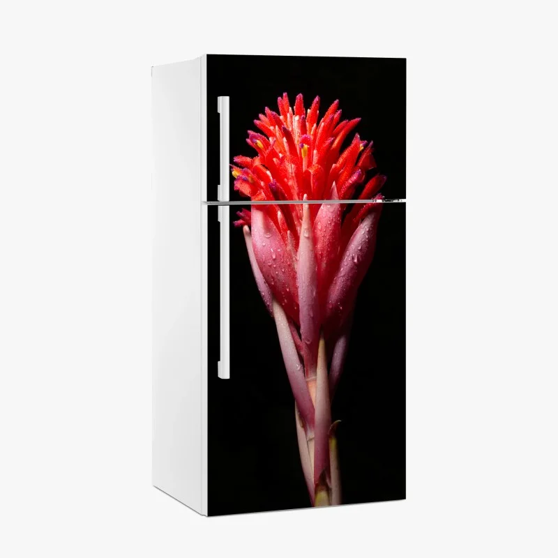 Blumen – Wallnifity®